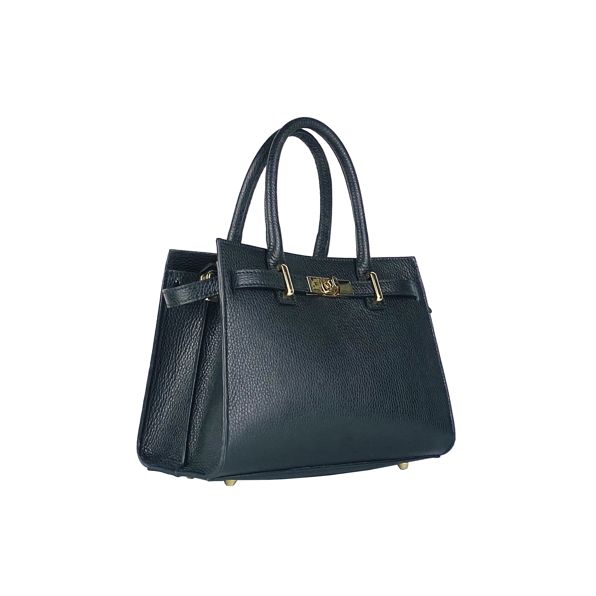 RENATO BORZATTA Classic Handbag -1