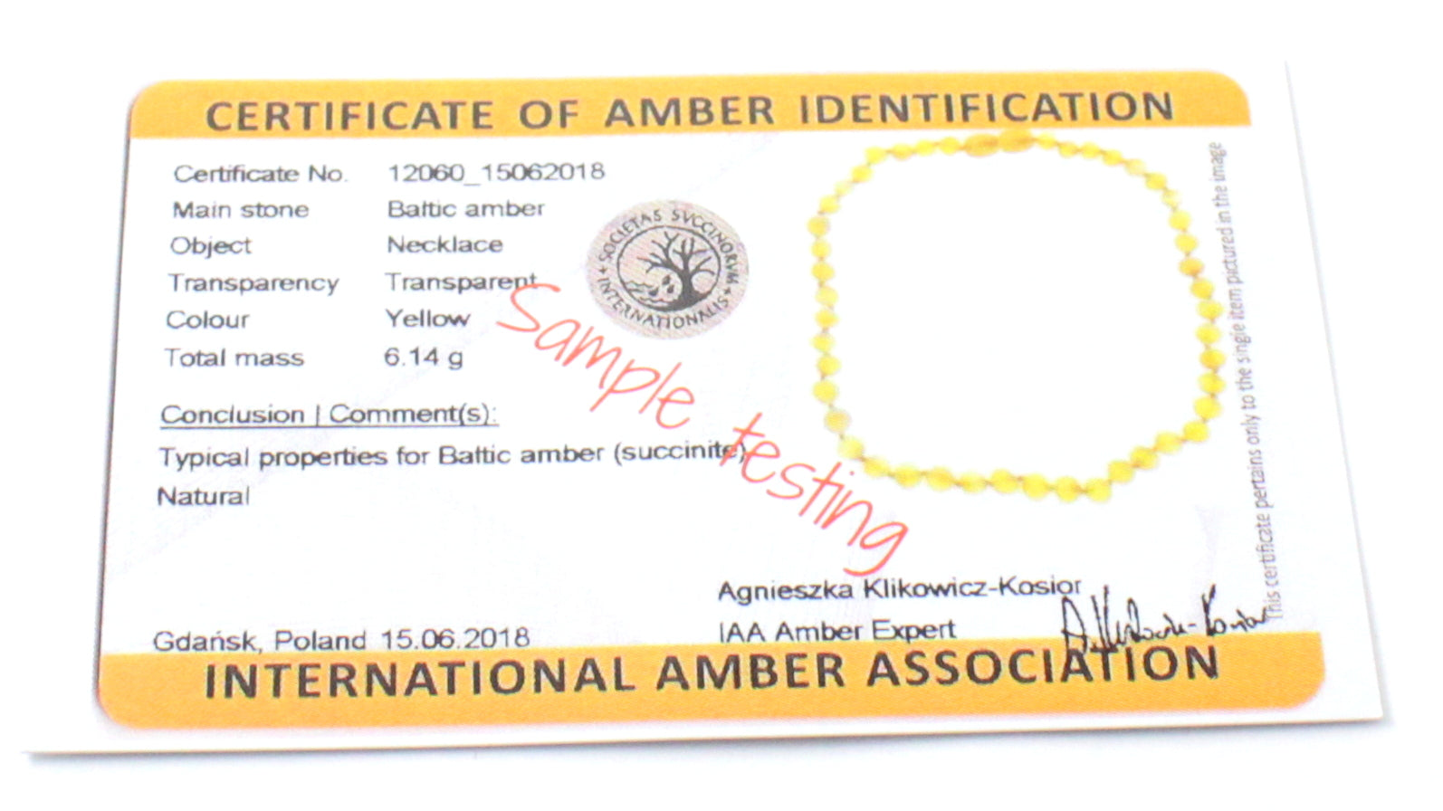 Baltic Amber & Moonstone Necklace-3